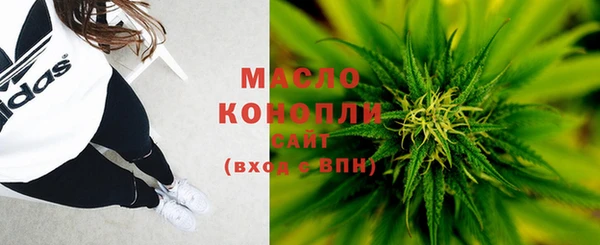 скорость Вяземский
