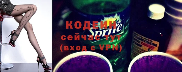 скорость Вяземский