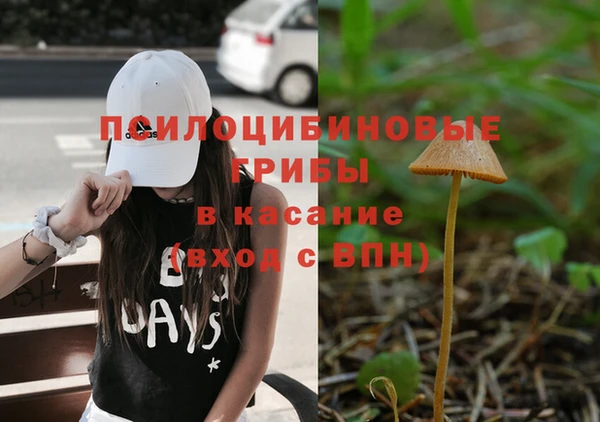 скорость Вяземский