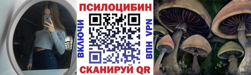 Псилоцибиновые грибы мицелий  Купить  Калуга 